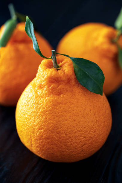Fresh Dekopon Oranges with Leaves on Dark Wooden Background