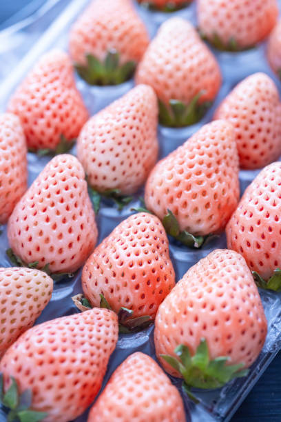 Close-up of fresh white strawberries carefully arranged in a plastic tray, showcasing their unique pale color and texture