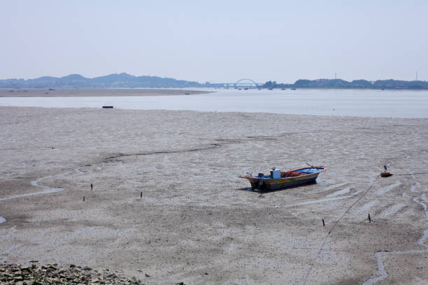 Geum River Estuary Mudflats in Gunsan City