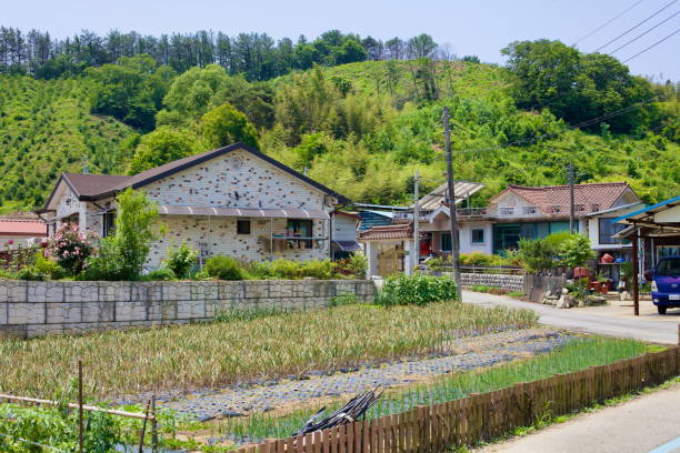 Iksan City, South Korea - May 27, 2021: A small rural village surrounded by lush green hills, featuring traditional and modern houses with vegetable fields in the foreground under a clear summer sky.