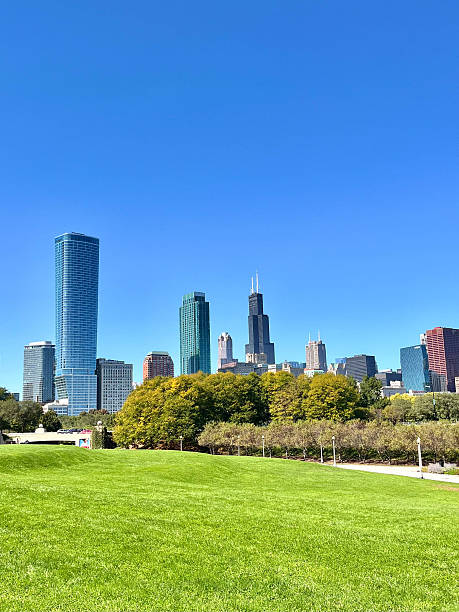 istock Chicago skyline on a sunny park day 2203366080