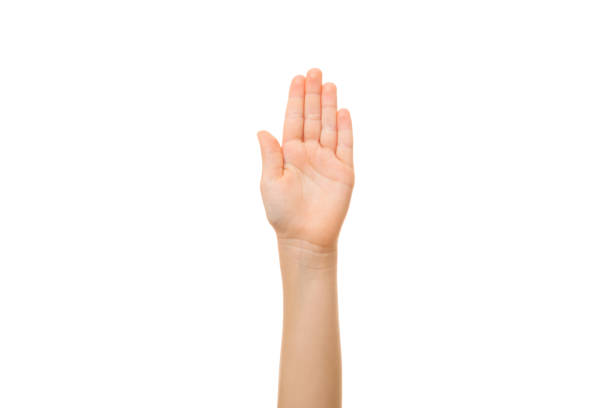 Little child hand raising up isolated on white background. Front view. Closeup.