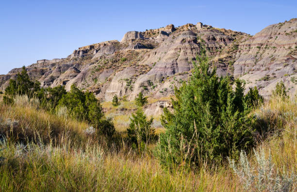 istock Rugged Landscape at Makoshika State Park 2203367960
