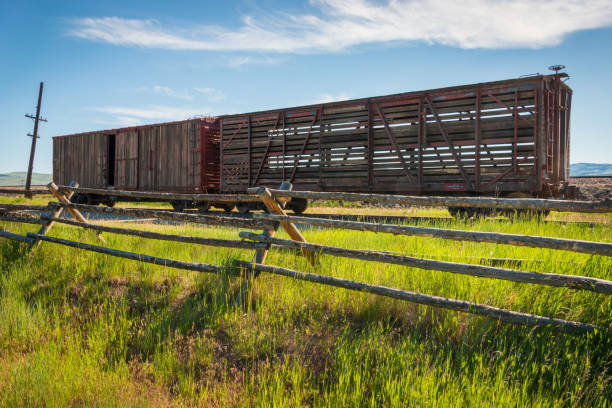 istock Grant-Kohrs Ranch National Historic Site 2203368029