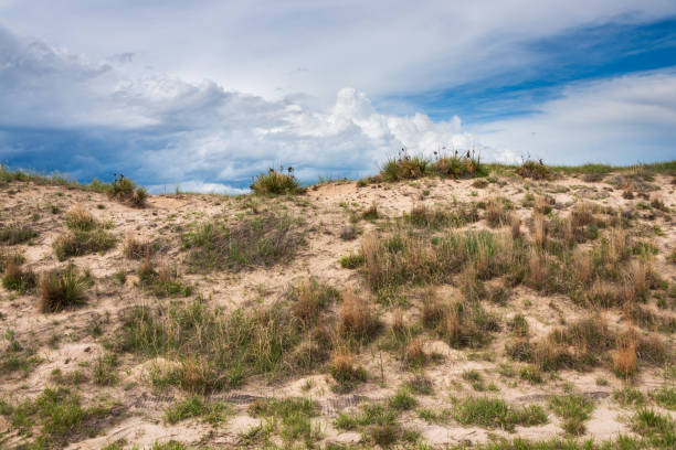 istock Sand Dunes at Sandhills of north-central Nebraska 2203368788