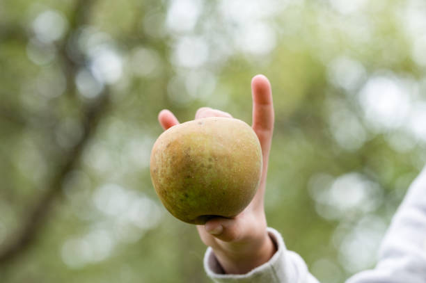 A hand gently holds a ripe, slightly speckled apple against a blurred green background, suggesting a natural outdoor setting like an orchard or garden.