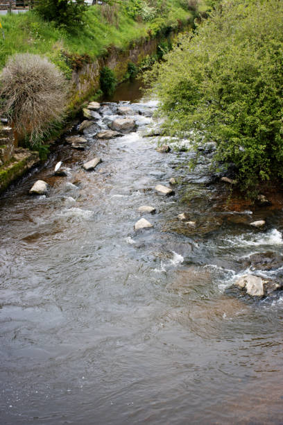 istock typical Devon countryside and small stream with rocks and grass on the side 2203370104