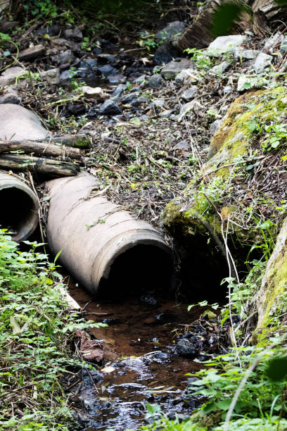 istock waste pipe outlet with water pooling at the end with dead branches and wild plants 2203370215