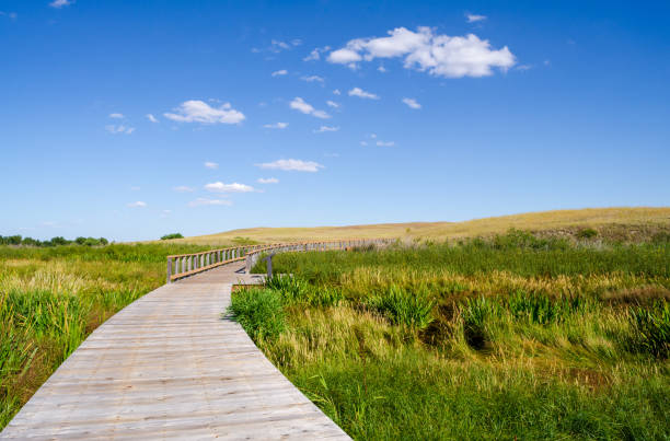 istock Boardwalk at Agate Fossil Beds National Monument 2203372414