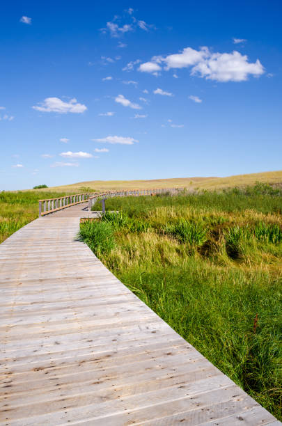 istock Boardwalk at Agate Fossil Beds National Monument 2203373005
