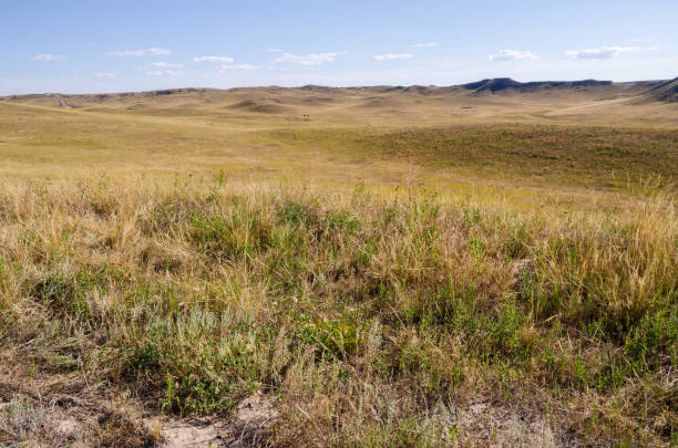 istock Meadows and Fields at Agate Fossil Beds National Monument 2203373248