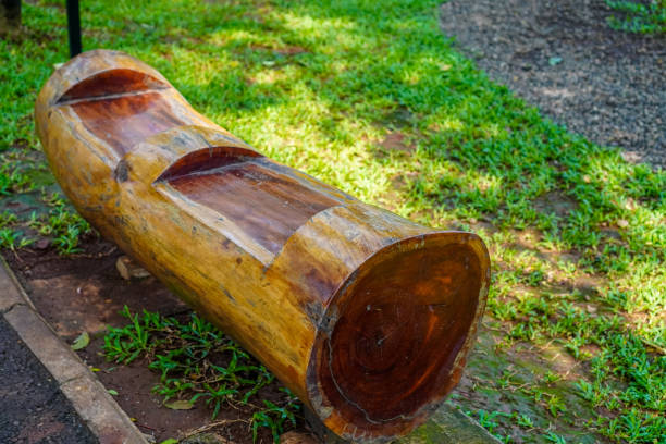A rustic wooden bench made from a single log sits beside a well-maintained path surrounded by lush grass and greenery under clear blue skies