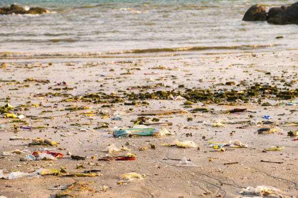 istock rash, plastic cups and plastic bags at the beach. environmental problem concept and healing the world 2203374456