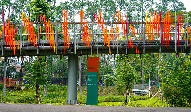 istock Colorful Infinity Pedestrian Bridge Elevated in Green Park Landscape 2203374505