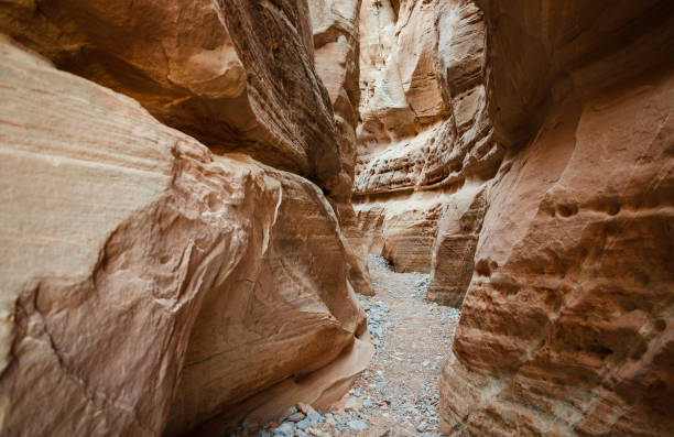 istock Slot canyon at Valley of Fire State Park 2203376523