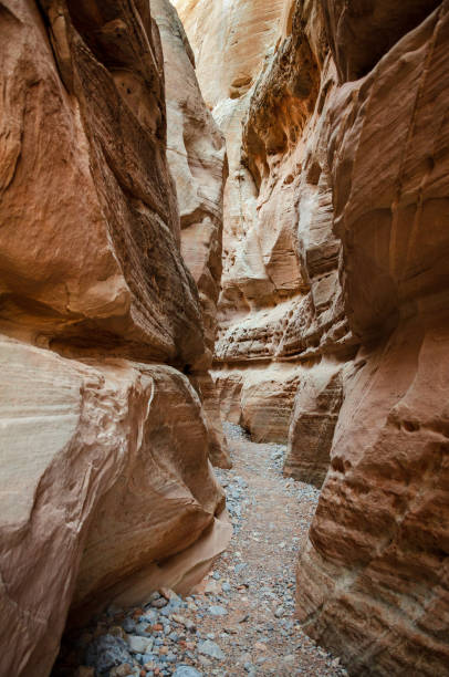 istock Slot canyon at Valley of Fire State Park 2203376541