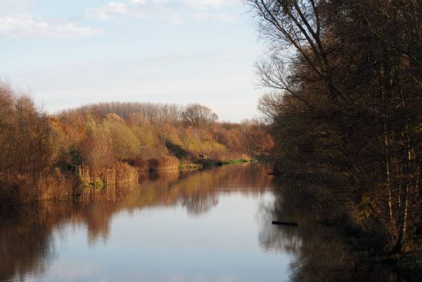 istock A beautiful view over the water and the trees in november 2203377395
