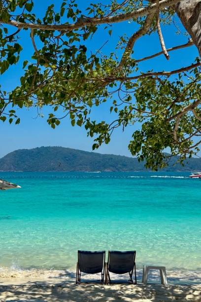 istock Turquoise Waters and Lounge Chairs in a Tropical Paradise 3 2203377542