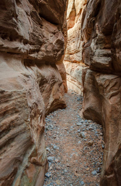 istock Slot canyon at Valley of Fire State Park 2203377657