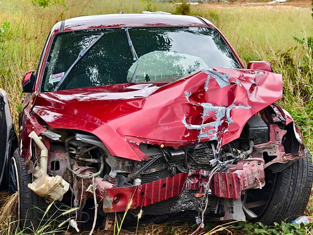 istock Abandoned cars after accidents in a dense overgrown setting 2203377808