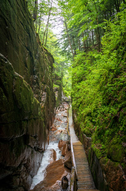 istock Narrows at Franconia Notch State Park 2203380242