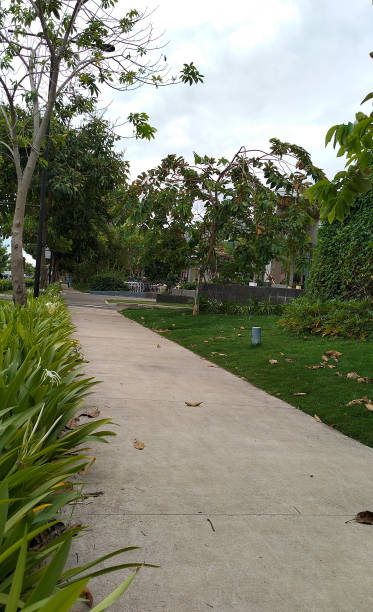 istock small road in the city park location 2203381090