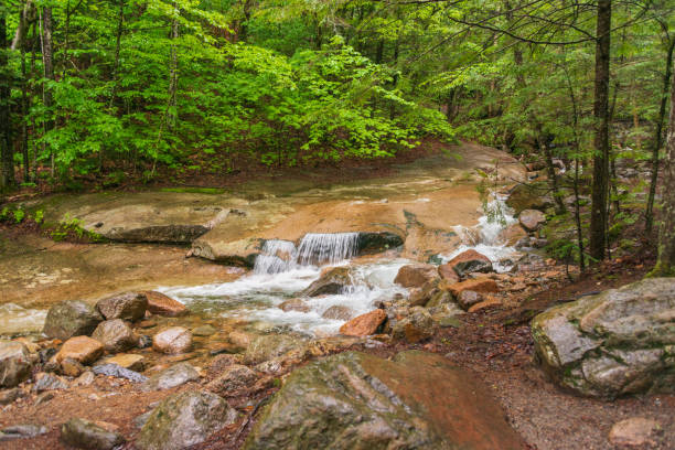istock Cascade at Franconia Notch State Park 2203382231