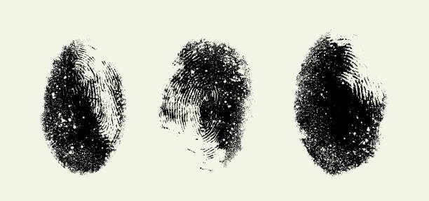 istock Human fingerprint texture set. Black and white grunge fingerprint white texture background. Collection of template fingerprint. Vector illustration. 2203385283