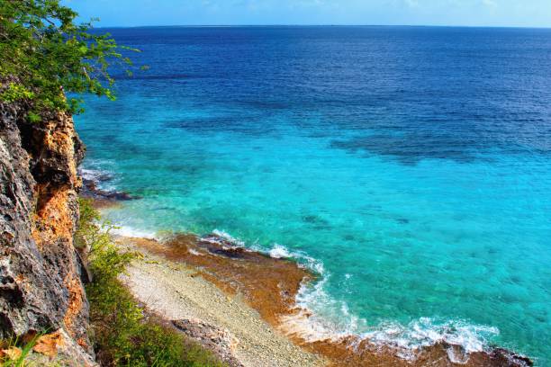 istock The beach named 1000 Steps, Bonaire, Caribbean Sea 2203386064