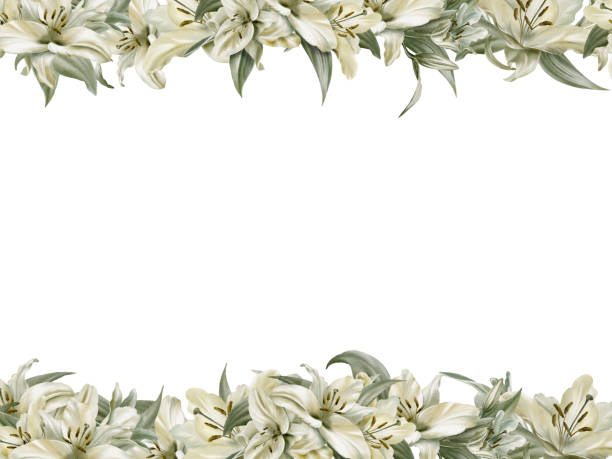 Template of double border of white lilies in digital watercolor clipart as a symbol of purity and innocence.Decoration for sites,wedding,Communion,christening,decoration of religious printed products Template of double border of white lilies in digital watercolor clipart as a symbol of purity and innocence.Decoration for sites,wedding,Communion,christening,decoration of religious printed products. High quality illustration pics of a cross easter lilies stock illustrations