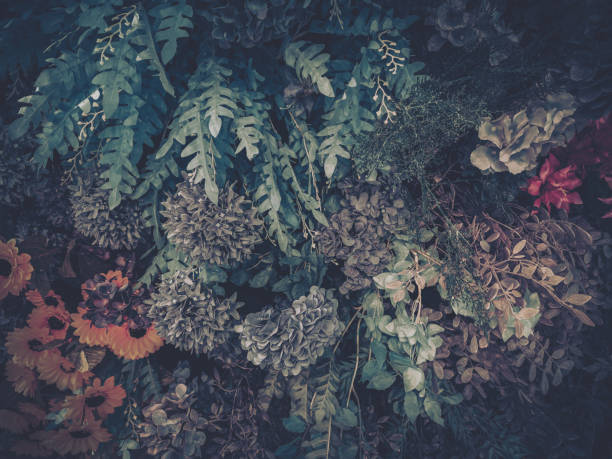 istock Artificial flowers and foliage create a textured botanical display.  Various blooms and leaves are arranged in a dense, nature-inspired composition with a dark, moody aesthetic. 2203403313