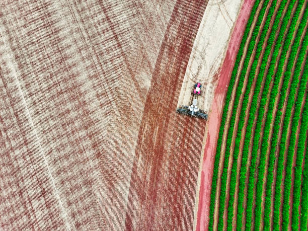 istock Modern Planting Machine in Action on Farmland 2203405469