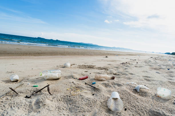istock Dirty sea sandy shore ,Environmental pollution,Plastic water bottles pollution in ocean 2203405507