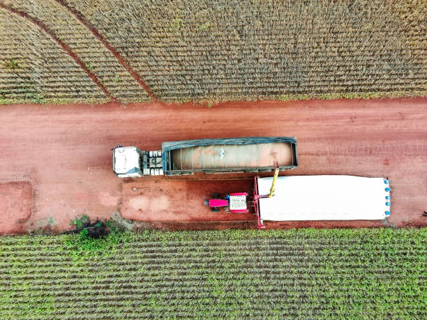istock Aerial View of Grain Harvesting and Loading into Trucks 2203405723