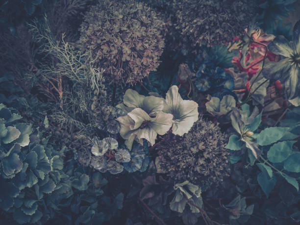 istock Artificial flowers and foliage create a textured, moody floral arrangement. Various blossoms and leaves are intertwined in a decorative display. 2203405886