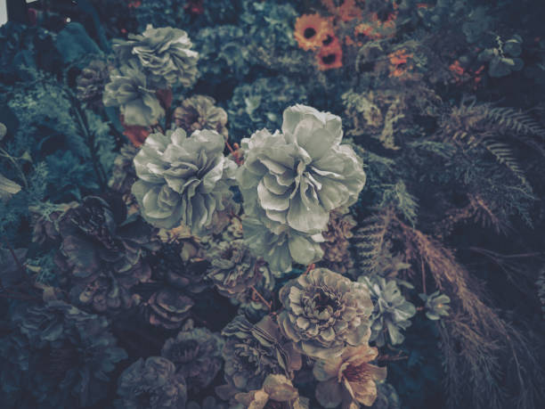 istock Artificial flowers in muted tones create a vintage floral display. Soft light illuminates the bouquet against a dark background. 2203406671