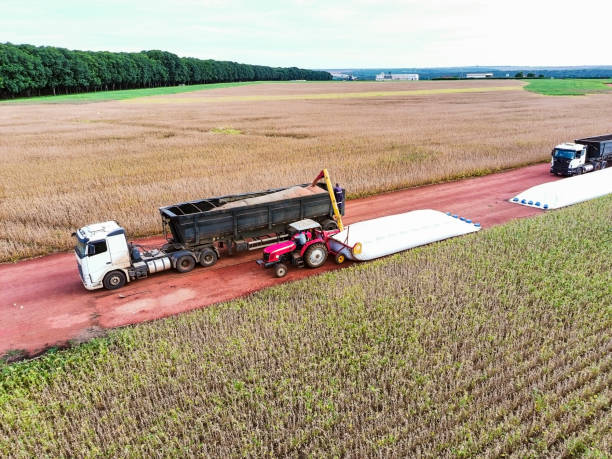 An aerial view captures  larges trucks being loaded with harvested grain in a vast agricultural field. The image highlights the process of grain harvesting and transportation, showcasing modern farming techniques and machinery. The scene is set against a backdrop of a mature crop field.