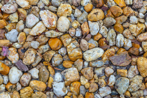 harmonic background of pattern of wet pebble stones in different colors
