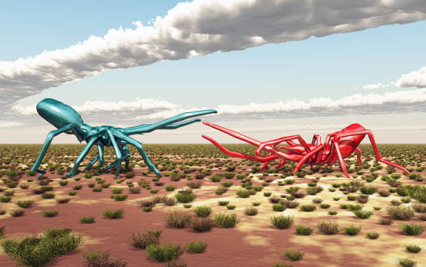 Computer generated 3D illustration with two giant spiders in a landscape attacking each other