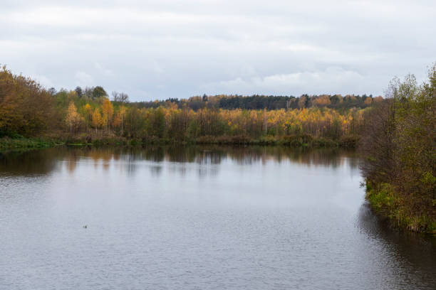 a lake and birches and other trees with yellow and orange foliage on the shore of a river