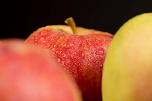 wet apple with red peel, sweet freshly picked apple in drops of water