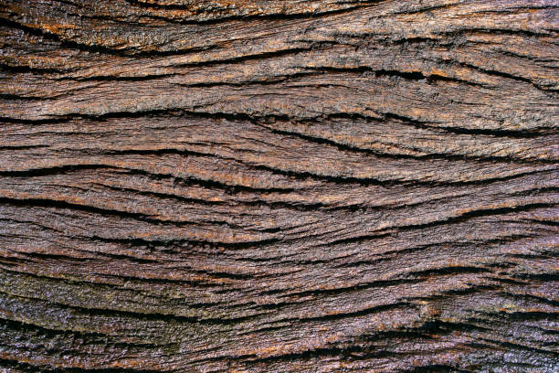 istock Textured Surface of Weathered Wood with Natural Brown Lines and Patterns 2203423312