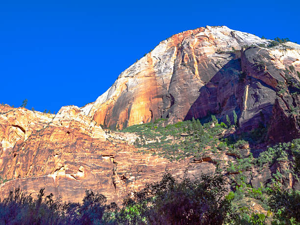 istock Zion Rockfall at Weeping Rock Mountains , Zion National Park, 2203425174