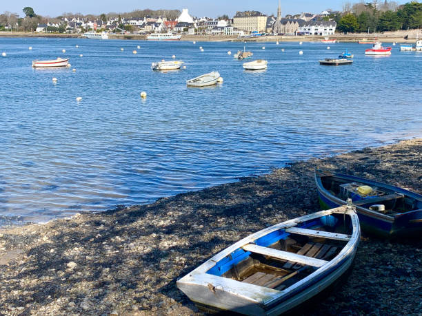 istock a bay with boats 2203427930