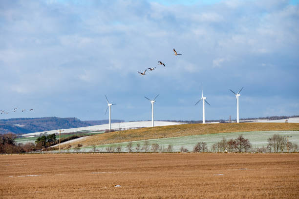 rural landscape in Thuringia with four wind generators and birds flying in the sky in winter time