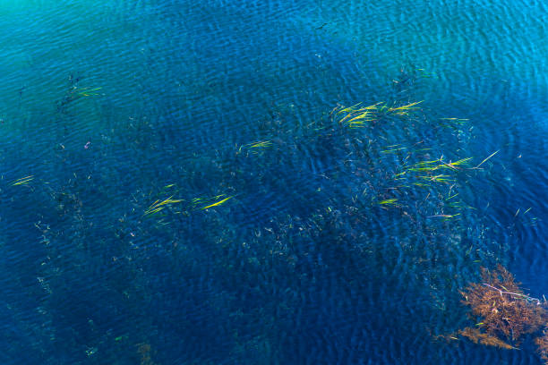 tranquil seascape