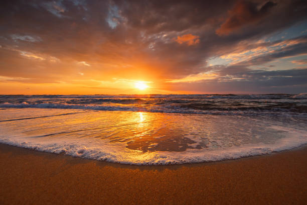 istock Ocean sunrise with scene cloudscape and beautiful summer beach with wave on the sea sand 2203434443