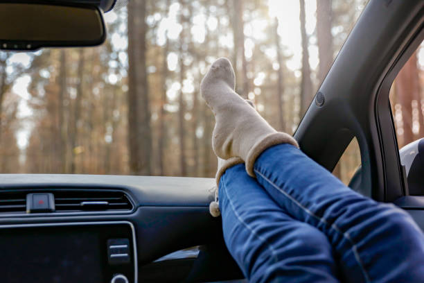 istock Jeans-clad legs on a car dashboard, covered in cozy, light-colored socks. The view through the window reveals a forest setting with tall trees and diffused sunlight. 2203435301