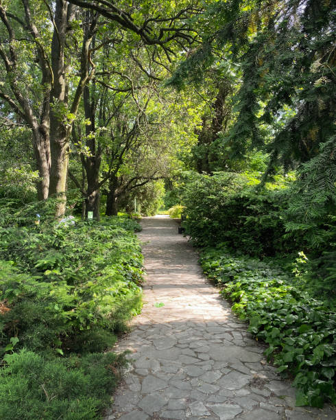 istock Straight narrow path in green garden. 2203437468