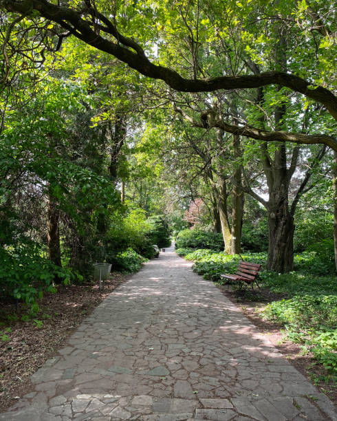 istock Straight path in green garden. 2203437499
